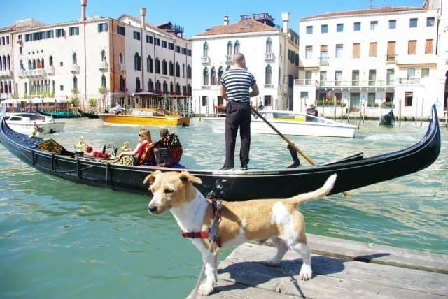 Falco standing in front of the romantic gondala in Italy. Paul Wojnicki Photos. 