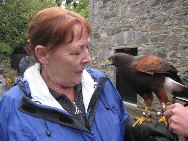 Our falconer, Ed, tethers Samhradh to my glove before we leave the aviary. Ginger Warder photo.