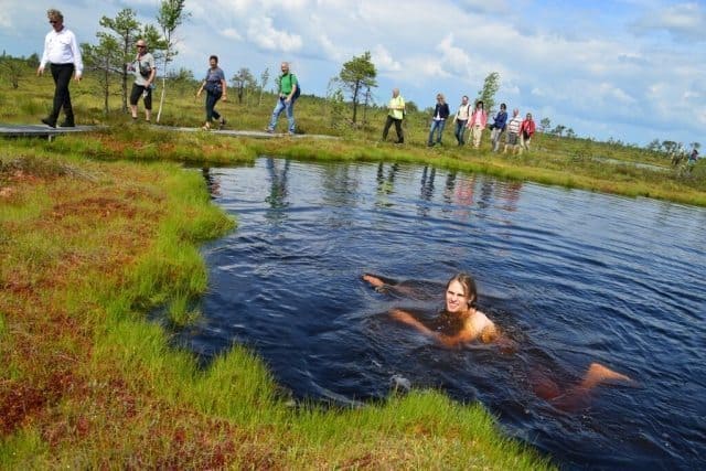Bring your swimsuit (or not) for a refreshing dip in the natural bog pools in Estonia. Sonja Stark Photos.