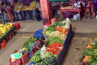 basketball court market