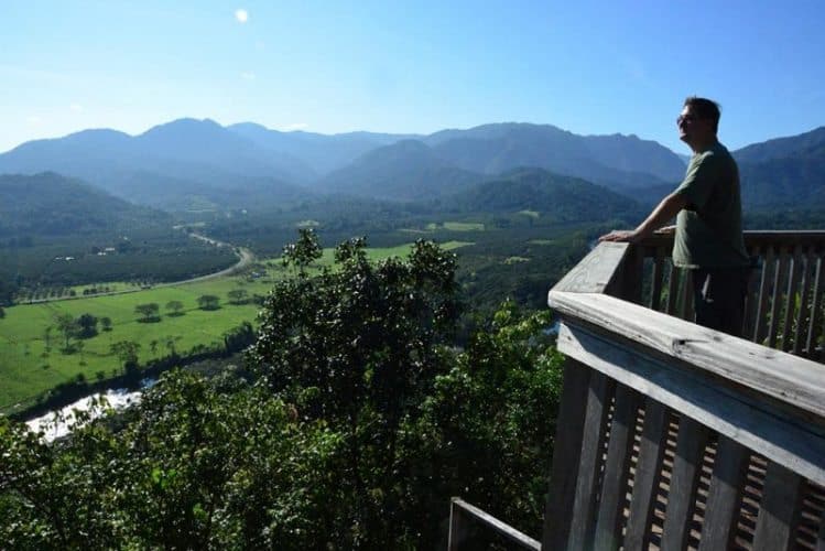 The surroundings of Sleeping Giant Rainforest Lodge is best enjoyed from the gazebo, a muddy half mile climb past incredible rock walls and hanging vines. 