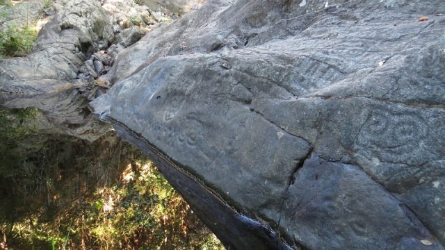 Reef Bay Trail petroglyphs: ancient drawings etched in the rocks.