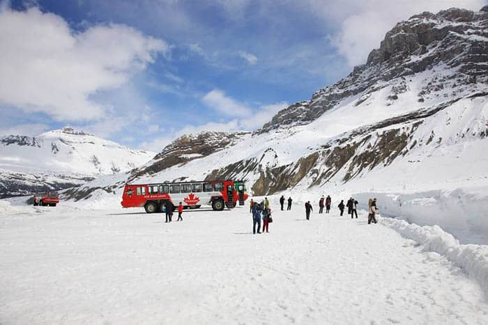 glacier bus