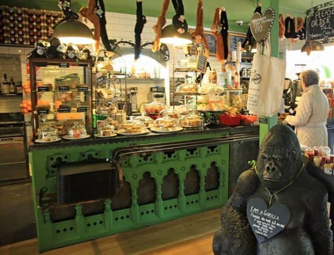 Kazie the Gorilla is the mascot of the delightful Alpine Coffee Shop in Betws-y-Coed, which supports animal organizations including the Orangutan Foundation and Ape Action Africa.