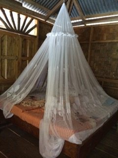 Mosquito netting is a good thing in the jungle.