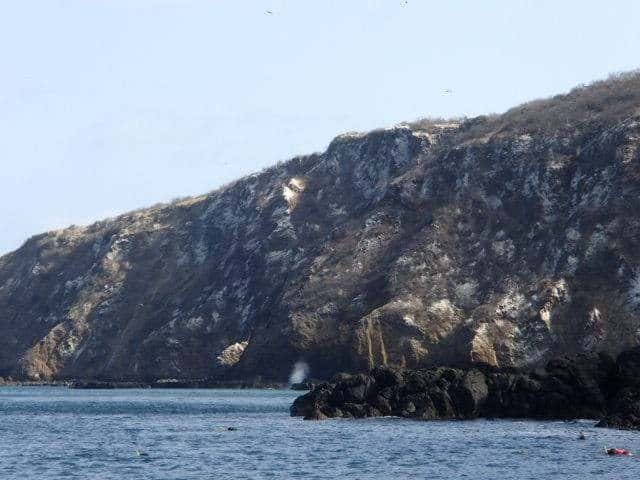 Cliffs along one side of Isla de la Plata.