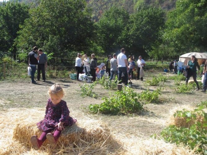 A Butuceni village start of National Wine Day.