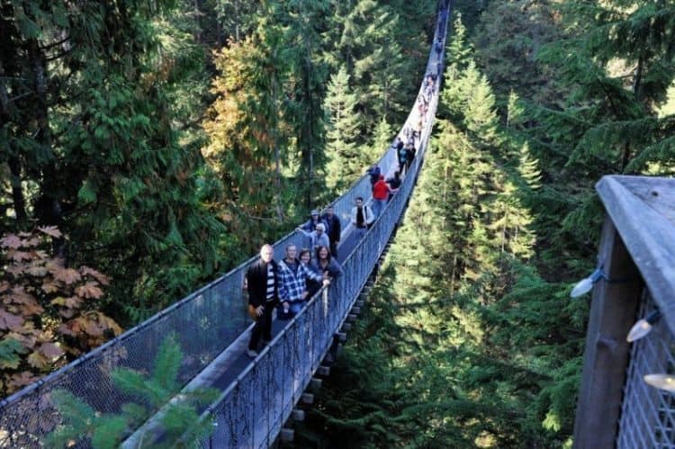 Capilano suspension bridge in Victoria, British Columbia. Tab Hauser photos.