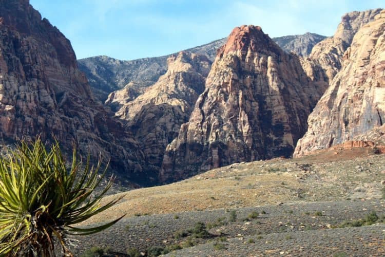 Red Rock canyon