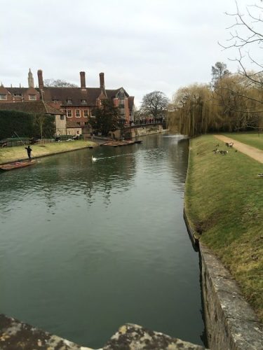 Instead of punting down the River Cam, stroll by the banks and watch the ducks waddling out of the water over the sloping green behind Kings College.