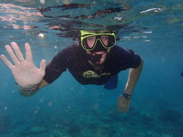 Swimming with sharks in Thailand: Seeing the black tip reef sharks up close gave a great perspective on how important their preservation is.