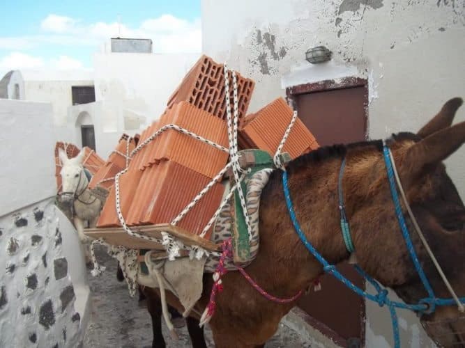 Donkeys carrying bricks in Santorini.