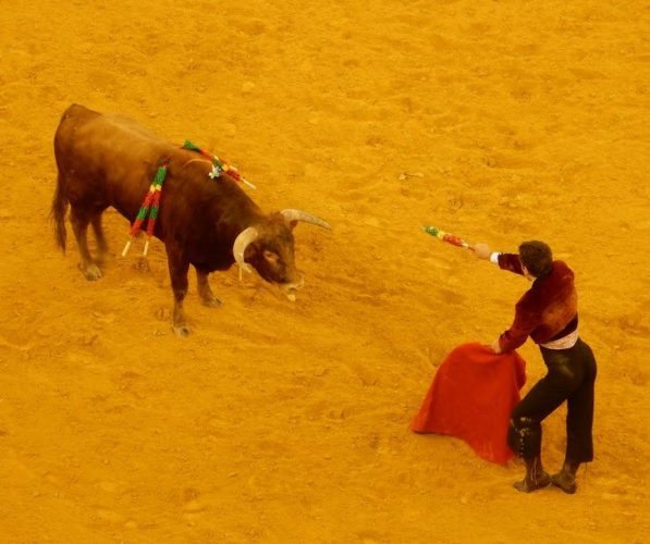 Faceoff between the bull and the fighter. Edward Yatscoff photos bullfighting