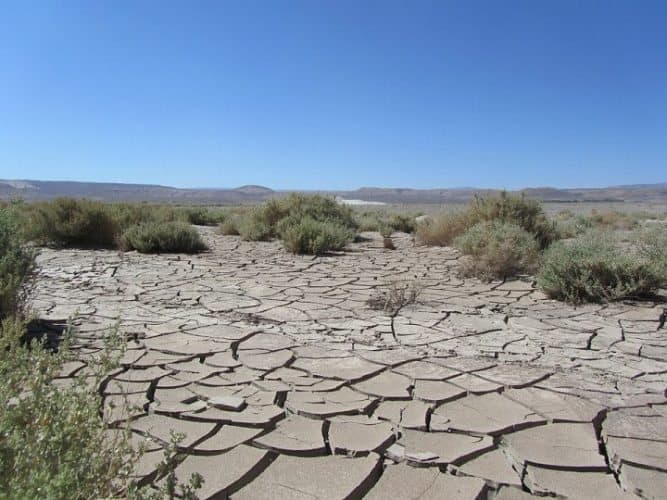 The cracked desert floor in Chile's Atacama desert.