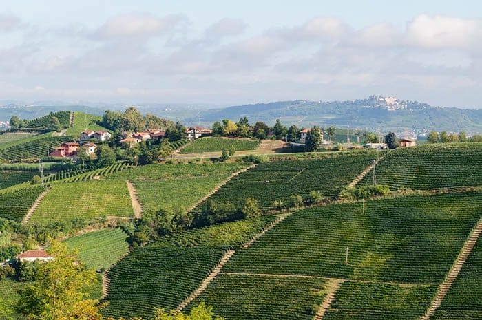 Vineyards in the Langhe from Ada Nada