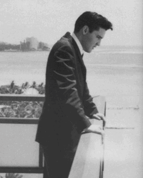 Elvis the King enjoys the view from Ali‘i Tower. Photo courtesy of Elvis Australia.