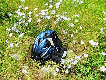 A rest stop is a good chance to take off the helmet and gloves and smell the wild flax.