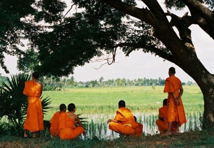 Monks by a rice paddy in Thailand. Photo by Bill Reyland.
