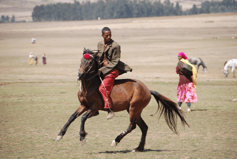 An Oromo horseman gallops along the plains in Bale 