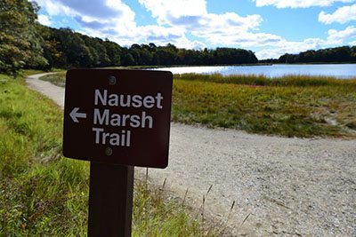 This trail is the gateway to the Cape Cod National Shoreline. It starts at the Salt Pond Visitor Center in Eastham and wanders through dense pines, past monuments and over bridges.