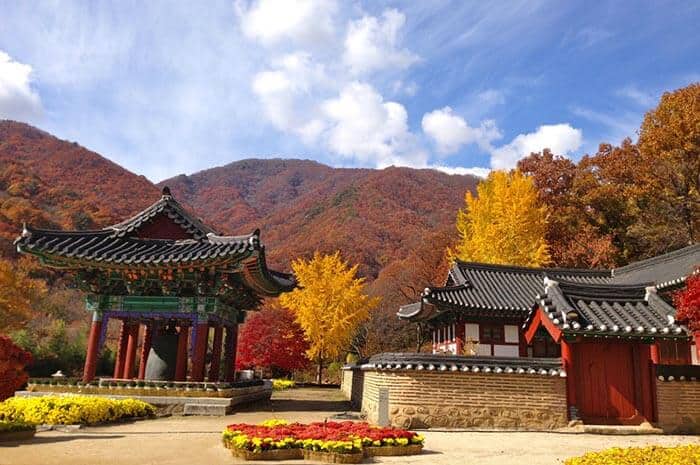 Just below Il Won's cabin, these temples are a hot attraction for tourists and locals in Jirisan National Park. 