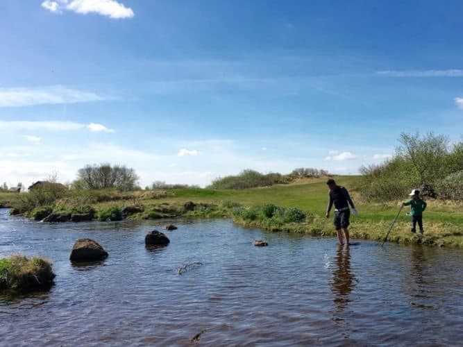After losing all of his balls in the scrubby grasses of the Geysir Golf Course, a golfer braves ice-cold water to rescue a ball long surrendered by another golfer.