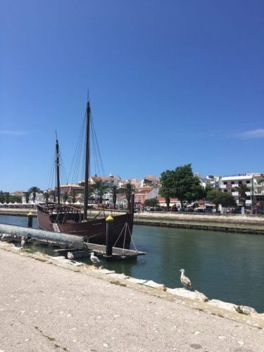 Walking along the marina. 