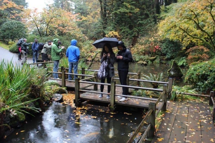 Rainy day at Portland's Japanese Garden