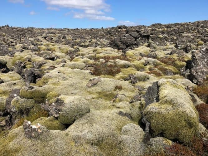 Lava fields surround the town of Grindavik and its tourist attractions, the Blue Lagoon and the Grindavik Golf Course.
