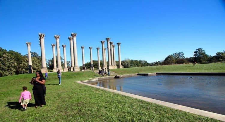 Checking out the National Columns at the Arboretum