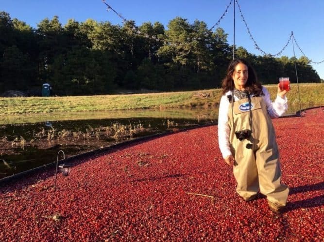The author with a cranberry cocktail in the cranberry bog.