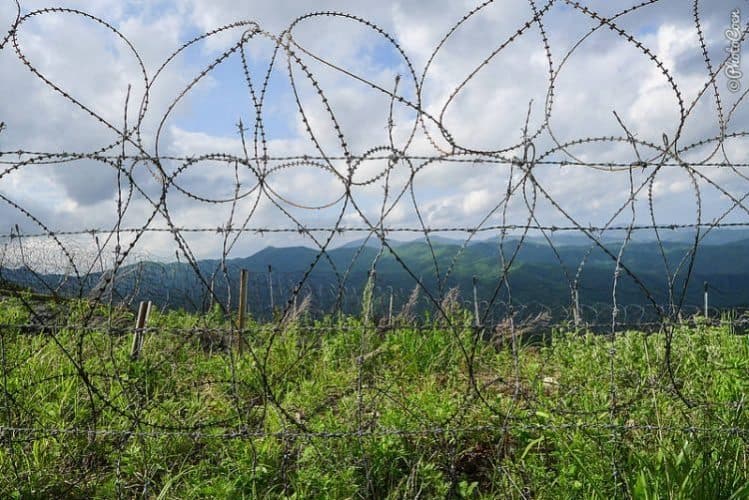 Barbed wire at the DMZ.