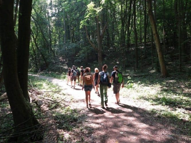 Berlin hiking: In the Grunewald forest, within the Berlin city limits, hiking trails invite both locals and tourists. Ryan Hellyer photo.