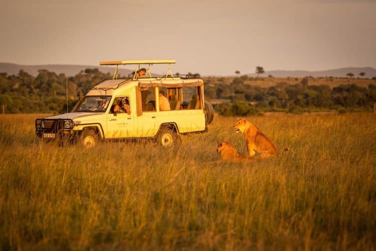 Safari action at the Masai Mara.