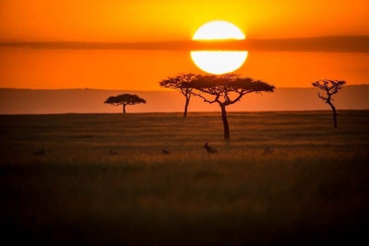 Sunset in Masai Mara photo by Africa Tours