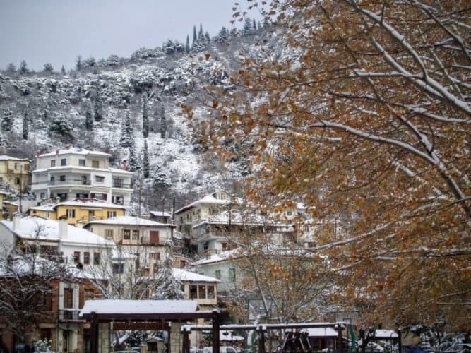 houses on the hillside