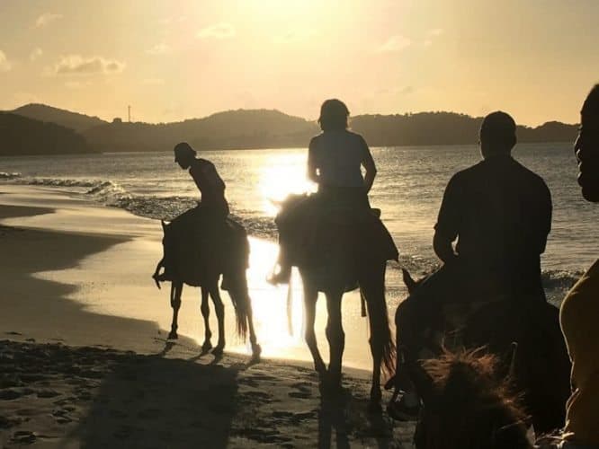 Riding horses on Fort Beach in Antigua-Barbuda. Max Hartshorne photos.