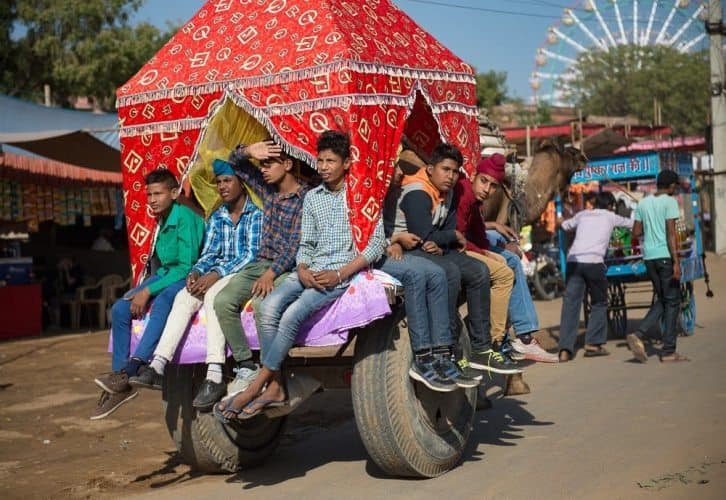 Young boys catching a ride at Pushkar on a bullock cart harnessed to a camel. Donnie Sexton photos.