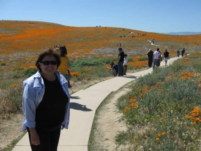 Walking the Poppy Trail at the Antelope Valley Poppy Preserve in Southern California. James Dorsey photos.