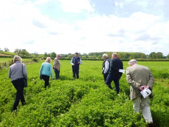 Touring the English Countryside