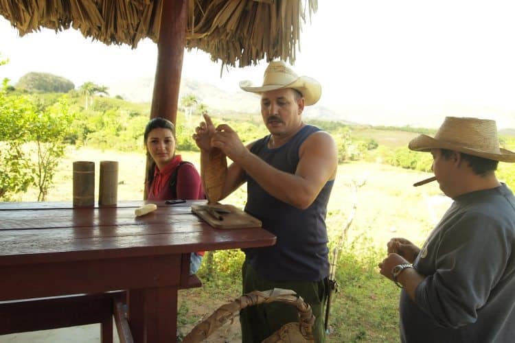 A farmer teaches the gentlemen's art of rolling fine cigars. 