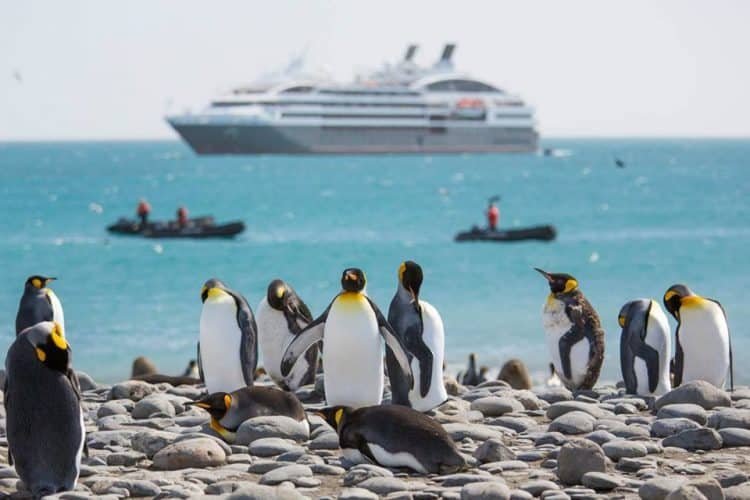 Antarctica Cruise 