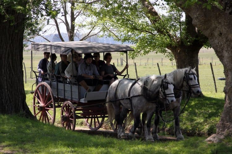 Guests at El Ombú enjoying a carriage ride. (Photo: El Ombú)