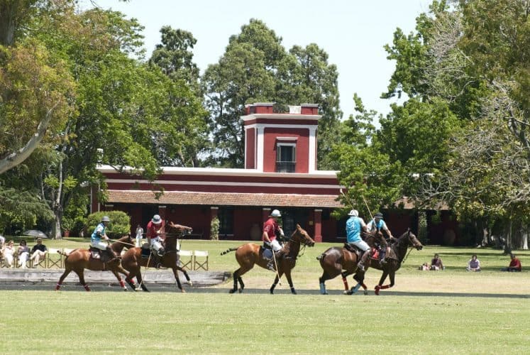 Polo ponies enjoying a game at La Bamba, an estancia in the pampas of Argentina. 