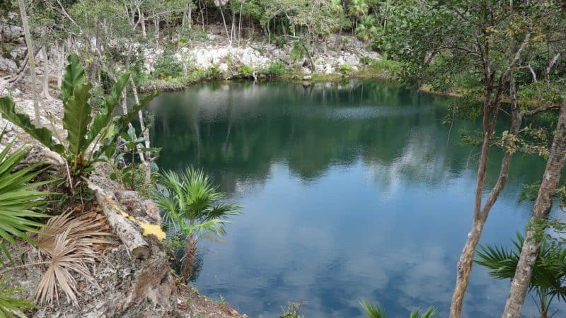 Crystal-clear water in the cenote at Xel-Ha.