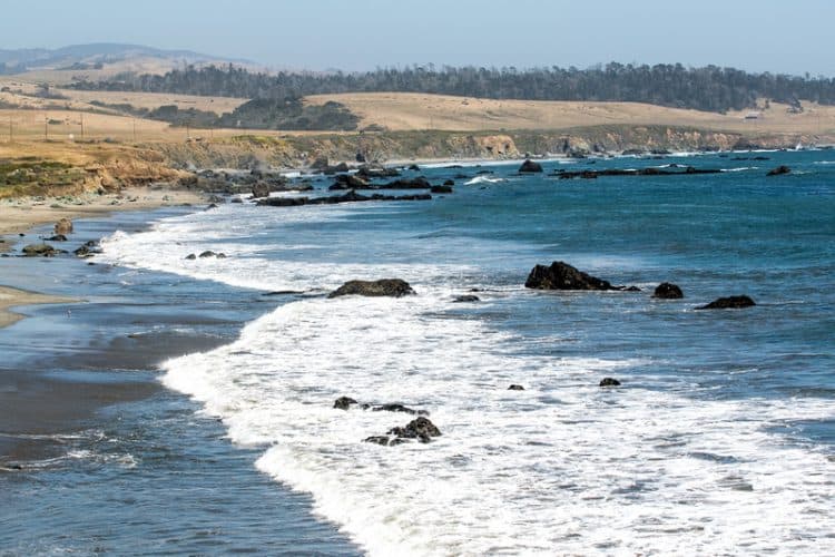 San Simeon State Beach: too cold to swim, but a beautiful place to spend a little time with elephant seals.