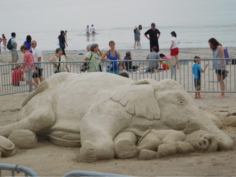 The crowds voted favorite...the elephant sculpture!