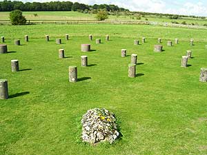 a neolithic class 1 henge and timber circle monument