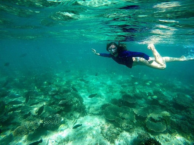 The Ningaloo Reef is the largest fringing coral reef in Australia and the largest near any land mass, this makes snorkeling the reef a simple matter of wading out into shallow water and diving into the reef. There is no need for expensive charter boats or snorkel tours on the Ningaloo.