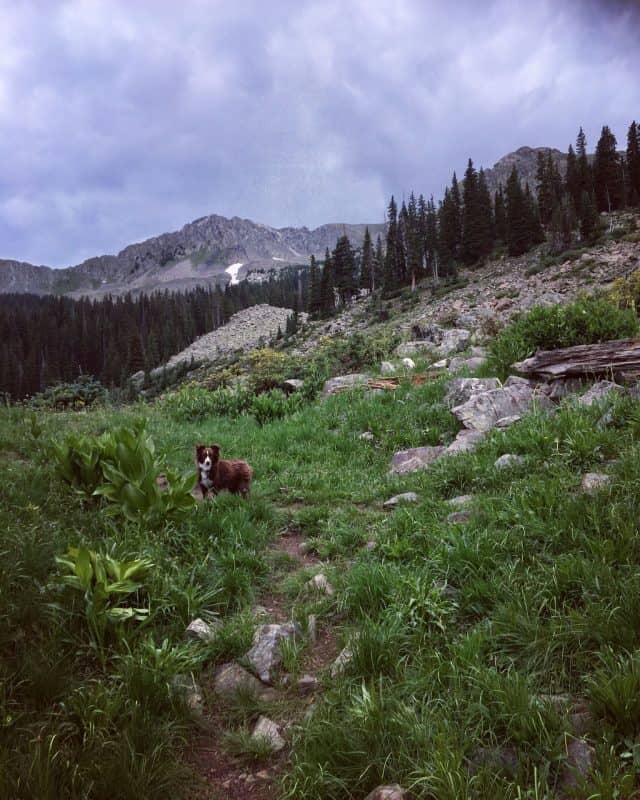 Williams Lake in Ski Valley